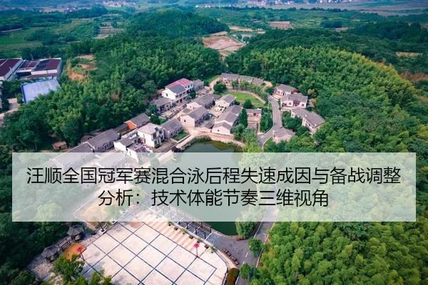 汪顺全国冠军赛混合泳后程失速成因与备战调整分析：技术体能节奏三维视角